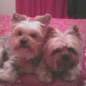 Meet your Posher, Debra